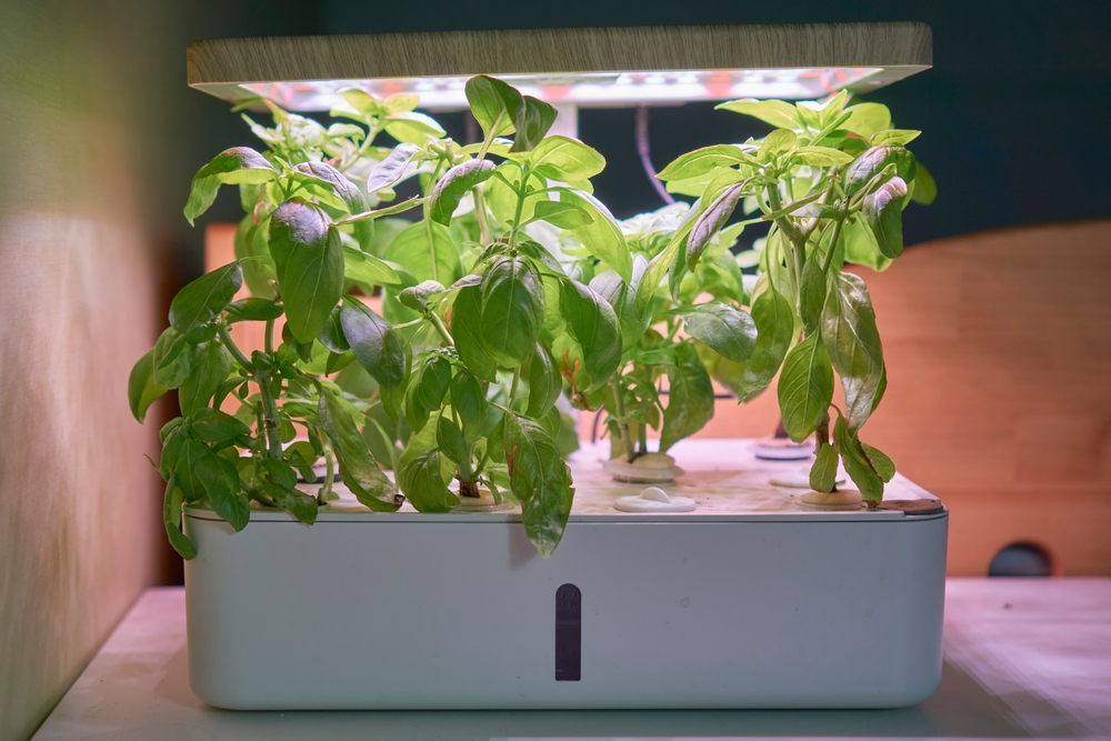 Wie funktioniert hydroponic System?